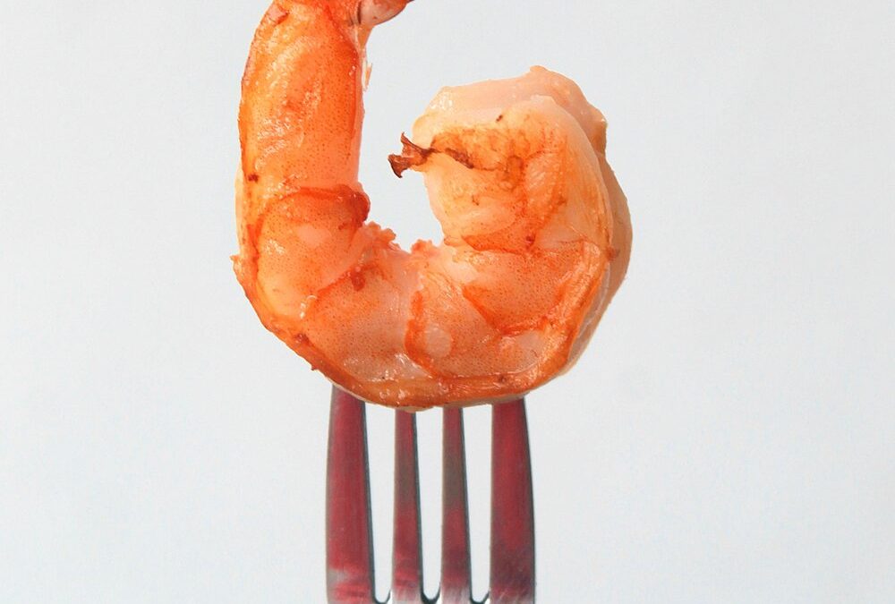 Why eat seafood?